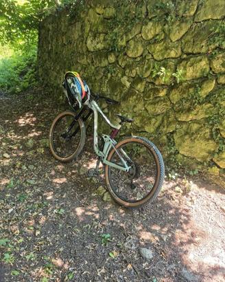 Reign Giant sx29 2022 