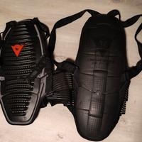 tartaruga paraschena