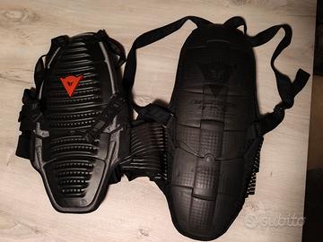 tartaruga paraschena