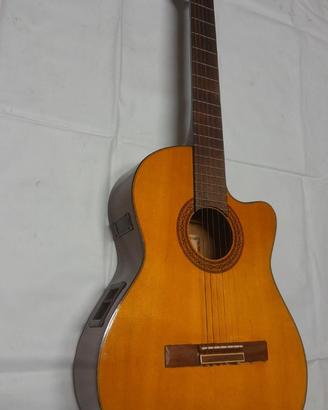 Chitarra elettrificata + cust. violino+accordatore