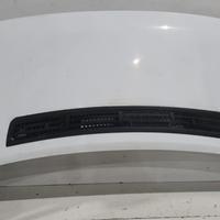 COFANO ANTERIORE FORD Transit Serie (00>06)