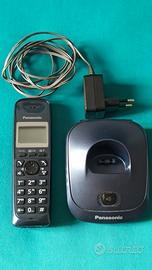 Cordless Panasonic mod. PQLV219CE