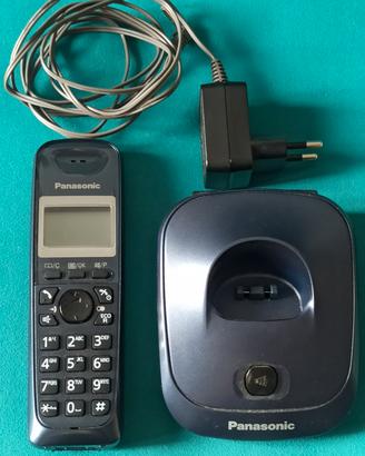 Cordless Panasonic mod. PQLV219CE