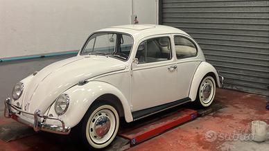 Vw maggiolino