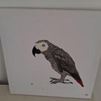 quadro 30cmx 30 cm disegnato a mano, cenerino