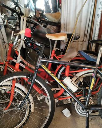 bici Graziella e mountain bike e altro