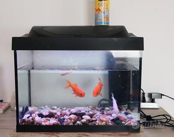 acquario tetra 40 Lt