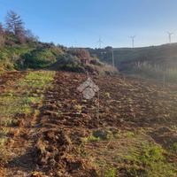 TER. AGRICOLO A ALCAMO