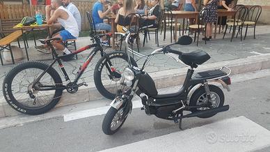 Mini califfo Rizzato