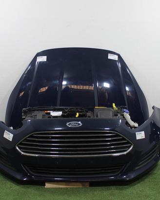 Musata cofano paraurti ford fiesta 2015 | 00116
