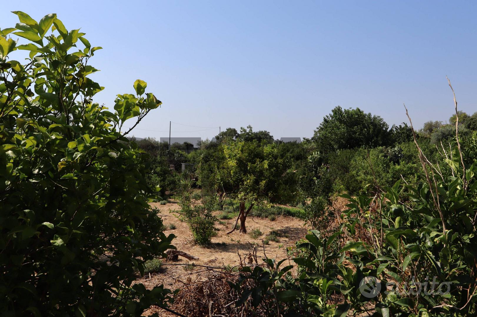 Terreno - Mascali - Vista 2