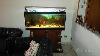 Acquario completo 120 x 50 x 40