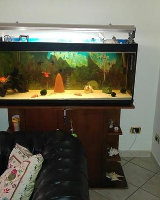 Acquario completo 120 x 50 x 40