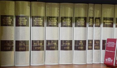 Nuovo dizionario dell'uso 8 volumi+usb