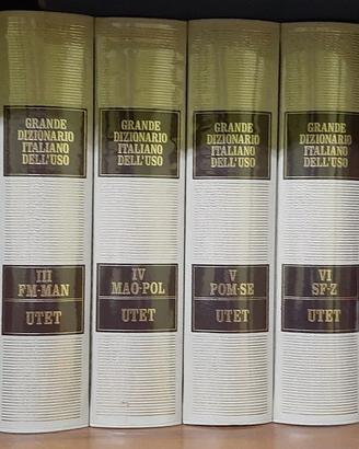 Nuovo dizionario dell'uso 8 volumi+usb