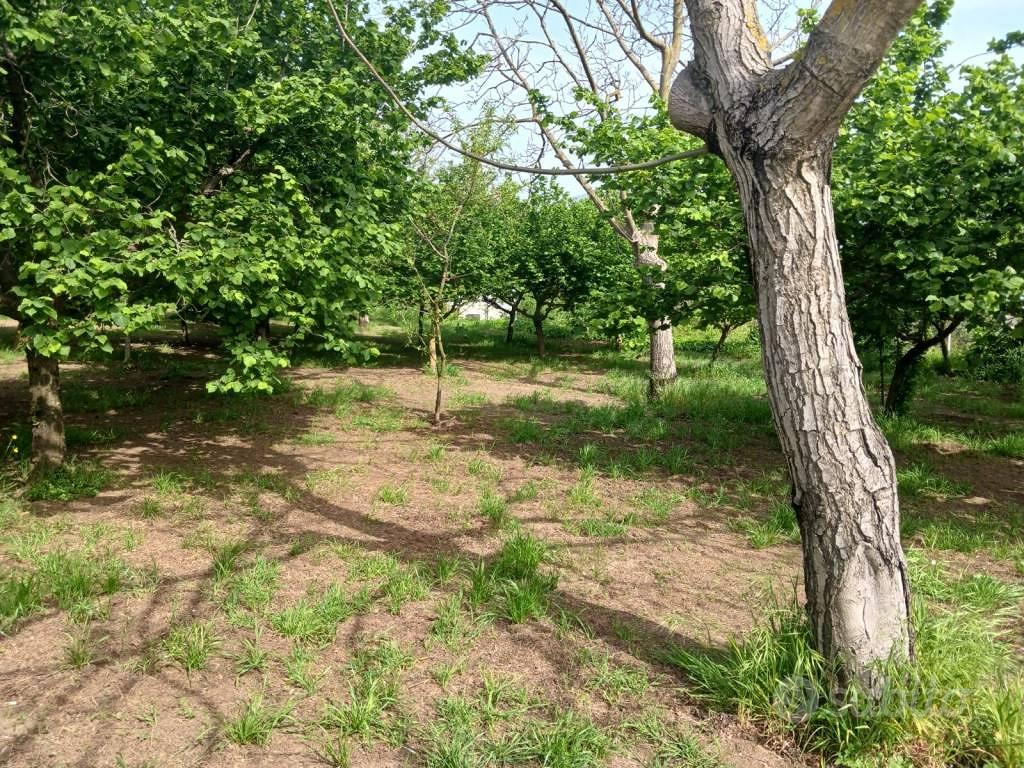 Terreno di 2200 m² a Mercato San Severino - Vista 5
