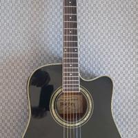 Chitarra acustica Washburn Dreadnought
