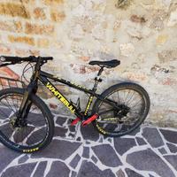 Bici mtb ragazzo 26''