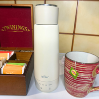 Bear300Ml Bollitore elettrico portatile