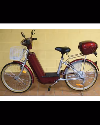 Bicicletta elettrica