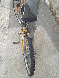 bici per adolescenti 