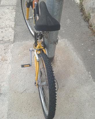 bici per adolescenti 