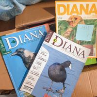 Riviste CACCIA CANI PESCA - 477 pezzi