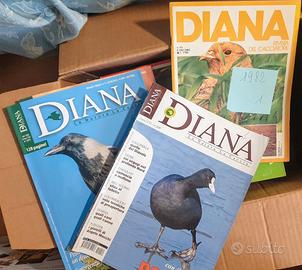 Riviste CACCIA CANI PESCA - 477 pezzi