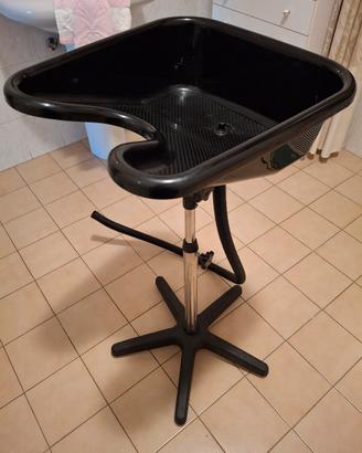 lavatesta portatile 