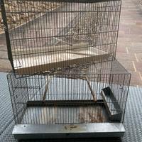 Gabbie per canarini o pappagalli