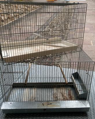 Gabbie per canarini o pappagalli