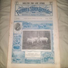 Libri: 16 Maggio 1898 Shelter for Live Stock