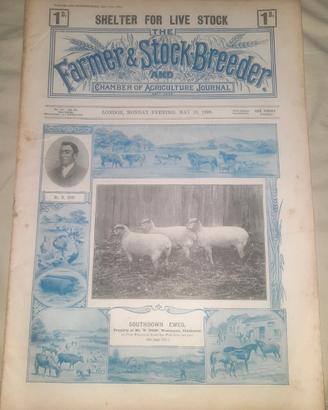Libri: 16 Maggio 1898 Shelter for Live Stock
