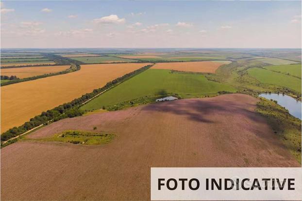 Terreno agricolo a San Quirino (PN)