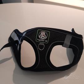 pettorina taglia S con guinzaglio 