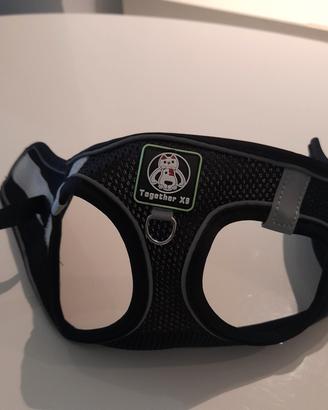 pettorina taglia S con guinzaglio 