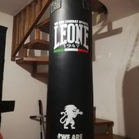 Sacco  leone 40 kg