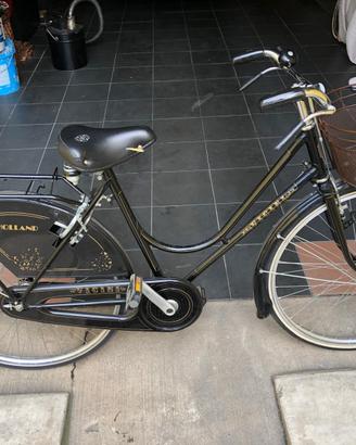Bici da donna Vicini Erre