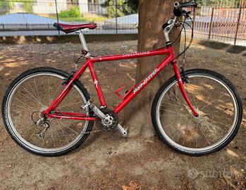 Specialized Rockhopper tg.L