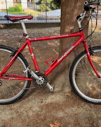 Specialized Rockhopper tg.L
