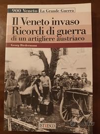 il Veneto invaso
