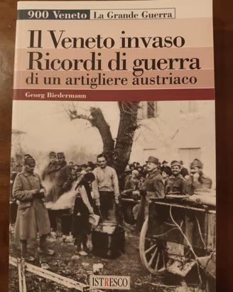 il Veneto invaso