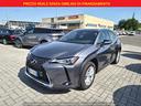 lexus-ux-250h-hybrid-business