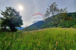 Terreno Edificabile - Feltre