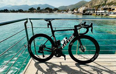 Factor Ostro Wam