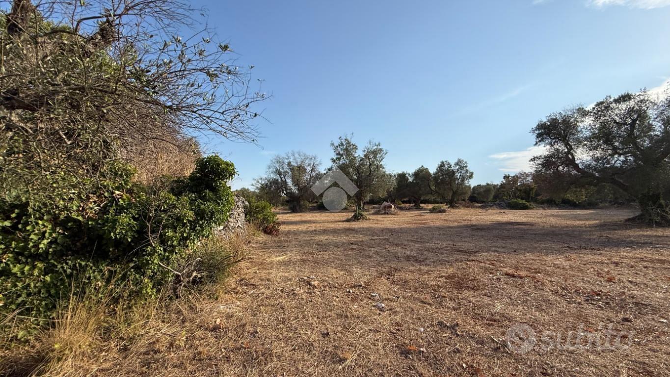 RUSTICO A CEGLIE MESSAPICA - Vista 5