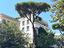 Immagine 14