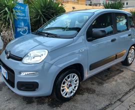 Fiat Panda 1.2 Pop 69 CV 2020 KM 10615 COME NUOVA