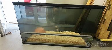 Teca per serpenti , camaleonti, gechi...