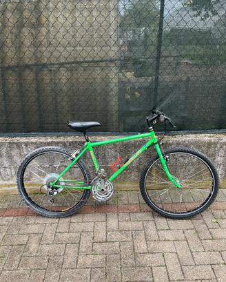 Bici mountain bike